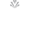 omni creative logo raw